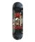 Anti Hero. Taylor Southbound Deck. 8.85.