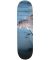 Swim. Kevin Terpening Pool Scene Pro Deck. 8.38