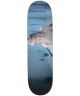Swim. Kevin Terpening Pool Scene Pro Deck. 8.38