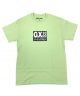 GX1000. Japan T Shirt. Pistachio.