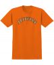 Spitfire. Youth Old E T-Shirt. Orange.